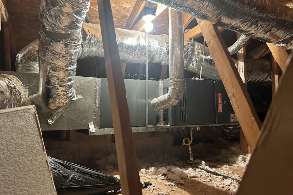 WhatsApp Image 2024-11-06 at 9.35.05 AM